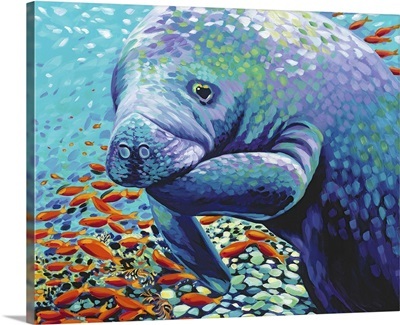 Muriel the Manatee Image